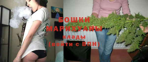 дмт Богданович